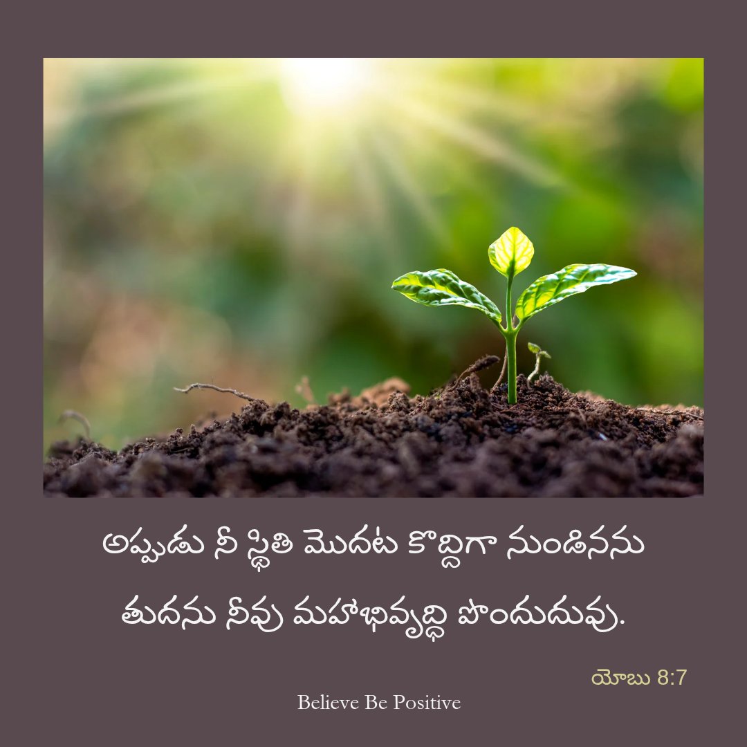 Believe Be Positive (@Believe_Bible) / Posts / X