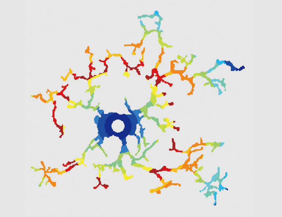 Science Magazine (@sciencemagazine) on Twitter photo A new microglia replacement protocol based on three cycles of a CSF1R inhibitor can treat neurological disorders in mice while avoiding the need for arduous preconditioning, pointing to a safer alternative to bone marrow transplantation.
Read more in <a href="/ScienceTM/">Science Translational Medicine</a>: A new microglia replacement protocol based on three cycles of a CSF1R inhibitor can treat neurological disorders in mice while avoiding the need for arduous preconditioning, pointing to a safer alternative to bone marrow transplantation.
Read more in <a href="/ScienceTM/">Science Translational Medicine</a>: