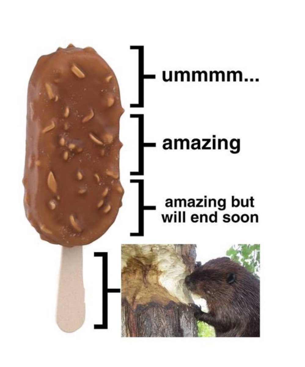 Respectful Memes (@respectfulmemes) on Twitter photo 