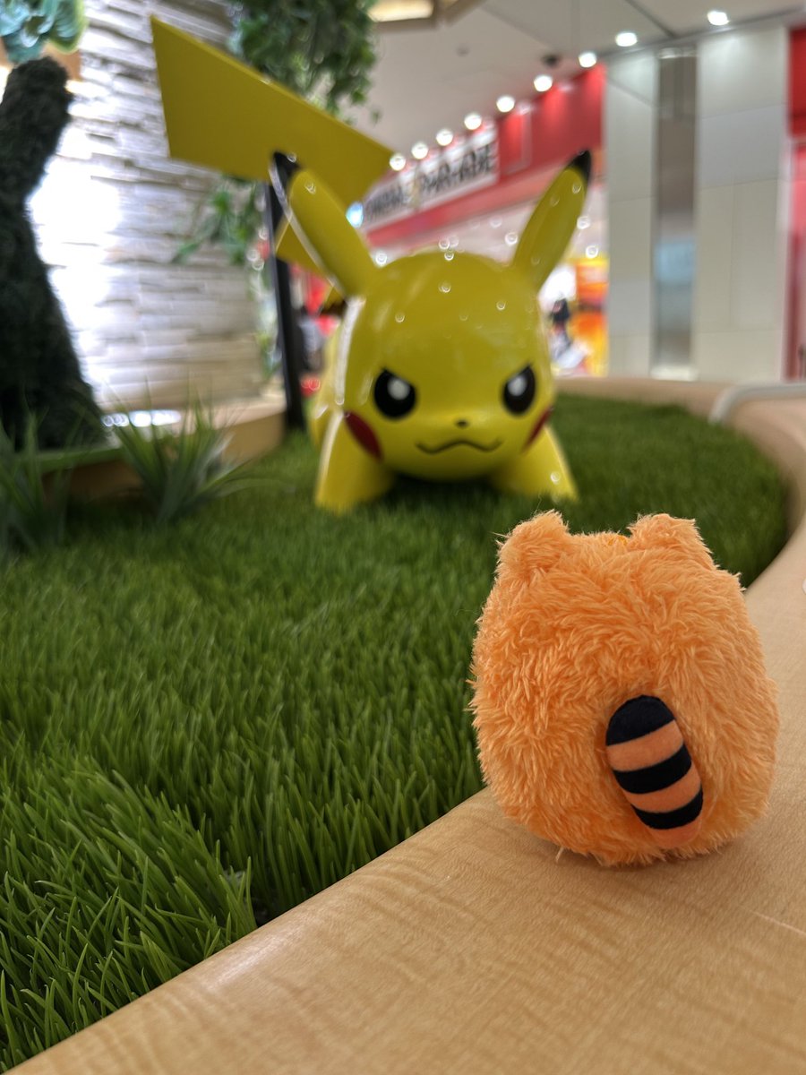 Vorsicht Leon, ein wildes Pikachu erscheint!