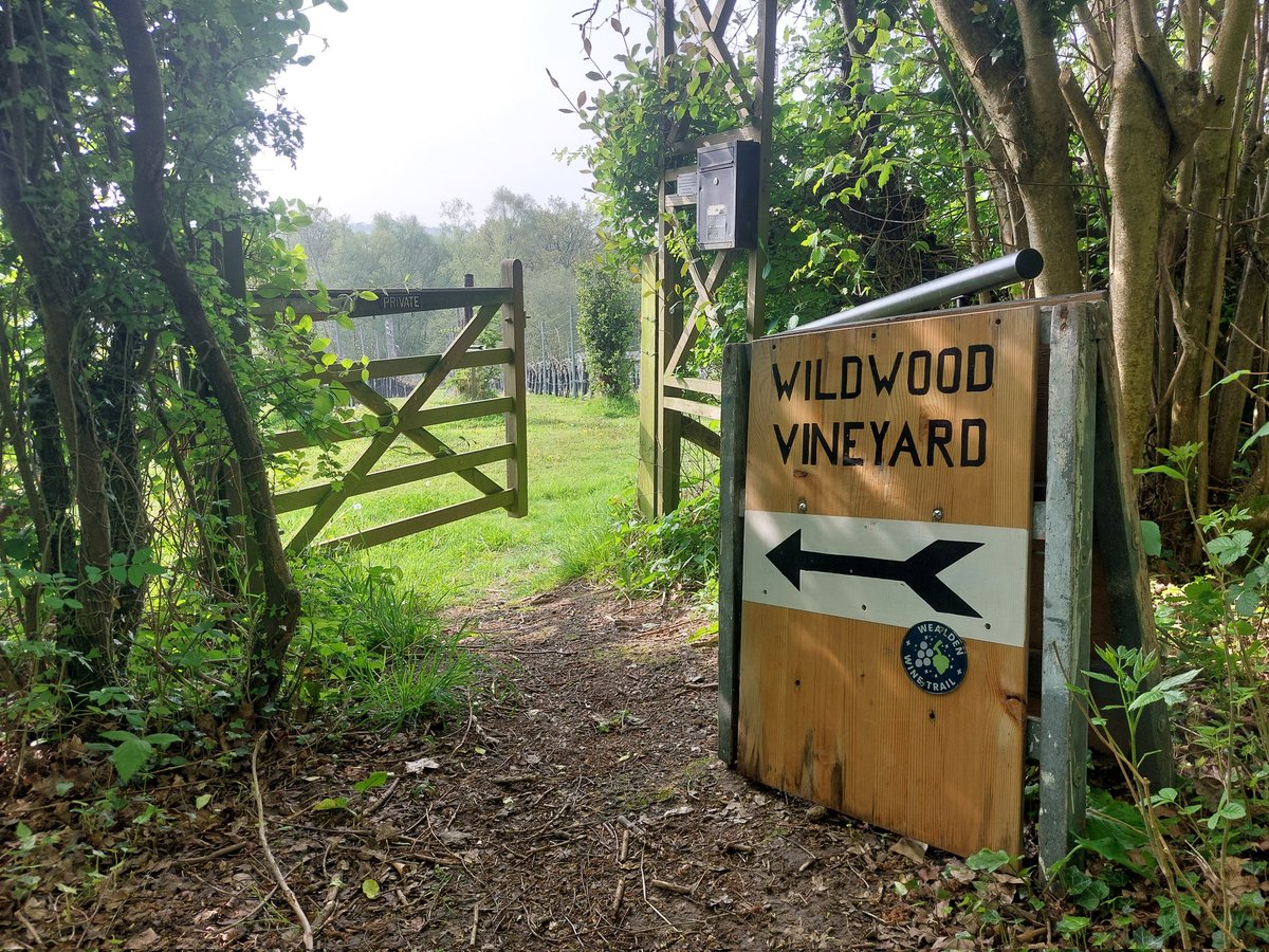 This weekend, Wildwood Vineyard  is open with Tours &amp; Tastings at 12:00 and 2:00 Saturday and Sunday. Places still available. Come direct or come via  <a href="/SpaVRofficial/">SpaValleyRailway</a> . Book your place via our website. Cellar Door open for sales of wine by the glass or by the bottle 10-4