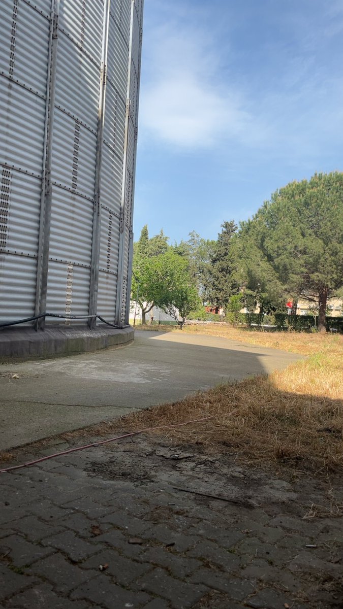 #Tmo#ToprakMahsülleriOfisi#Toprak#Su#Arpa#Buğday#Pirinç#Toprak 🇹🇷