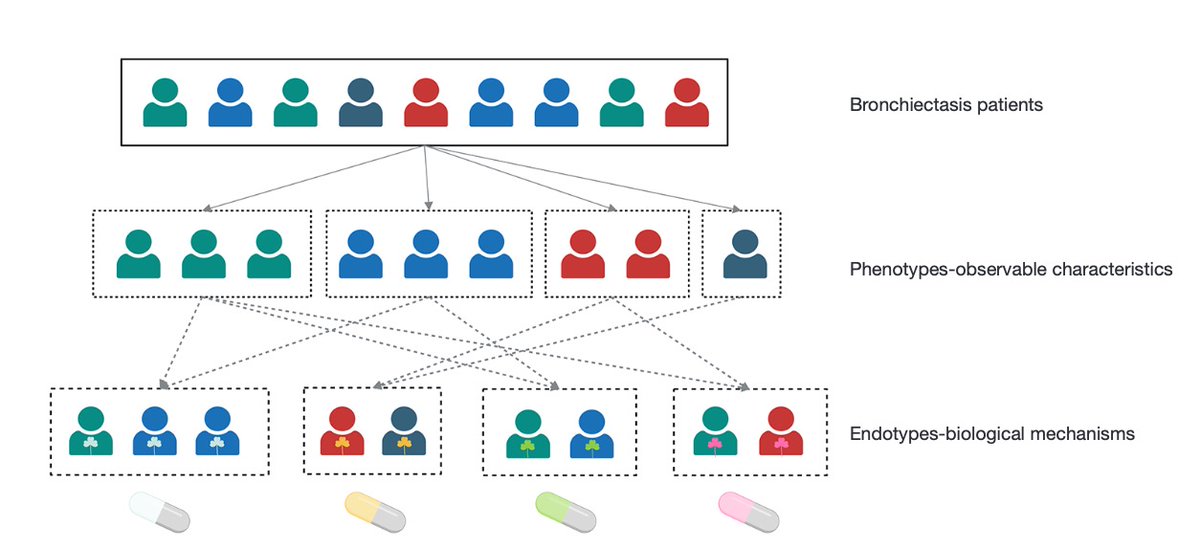 Hayoung Choi (@hayoungcc) on Twitter photo Delighted to share "Phenotypes and endotypes in bronchiectasis: a narrative review of progress toward precision medicine", coauthored by brilliant <a href="/YonghuaGao9/">Yonghua Gao</a> in a special #bronchiectasis series edited by <a href="/ProfJDChalmers/">James D Chalmers</a> and Prof Guan of J Thorac Dis!
jtd.amegroups.org/article/view/9… Delighted to share "Phenotypes and endotypes in bronchiectasis: a narrative review of progress toward precision medicine", coauthored by brilliant <a href="/YonghuaGao9/">Yonghua Gao</a> in a special #bronchiectasis series edited by <a href="/ProfJDChalmers/">James D Chalmers</a> and Prof Guan of J Thorac Dis!
jtd.amegroups.org/article/view/9…