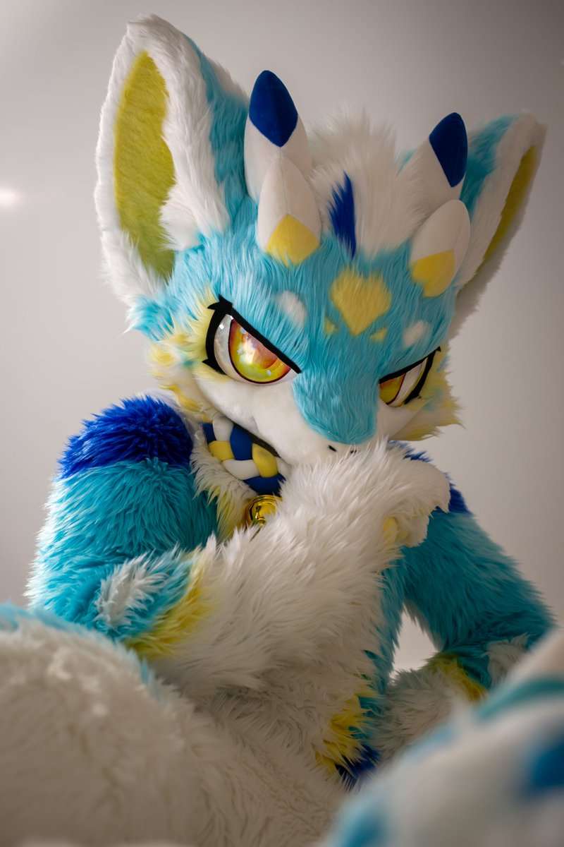 #FursuitFriday
让我好好观赏观赏被踩在脚下动弹不得的你~
📷<a href="/jece9925/">景小宸</a>