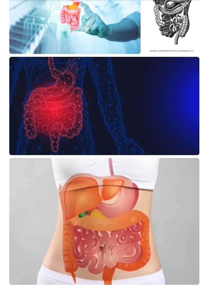 IHCRI_Rwanda's tweet photo. Silent doesn’t mean safe.
Diseases of internal organs like the liver, kidneys, lungs, and pancreas often progress without early symptoms.
Regular check-ups, healthy lifestyle choices, and awareness can prevent life-threatening conditions.
#HealthEducation #InternalOrgans https://t.co/soUHkZyvZV