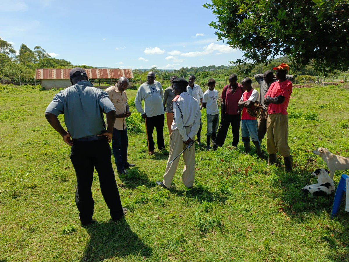 KenyaTsetse's tweet photo. KENTTEC Lake Victoria has launched a 1-week response in Magunga, Homa Bay to combat rising Tsetse fly & Trypanosomiasis cases.
Activities include:
Community sensitization
Livestock screening & spraying
lake
Tsetse fly surveys
Tree Growing
#KENTTEC #OneHealth #TsetseFly #HomaBay https://t.co/mHuVz64qts
