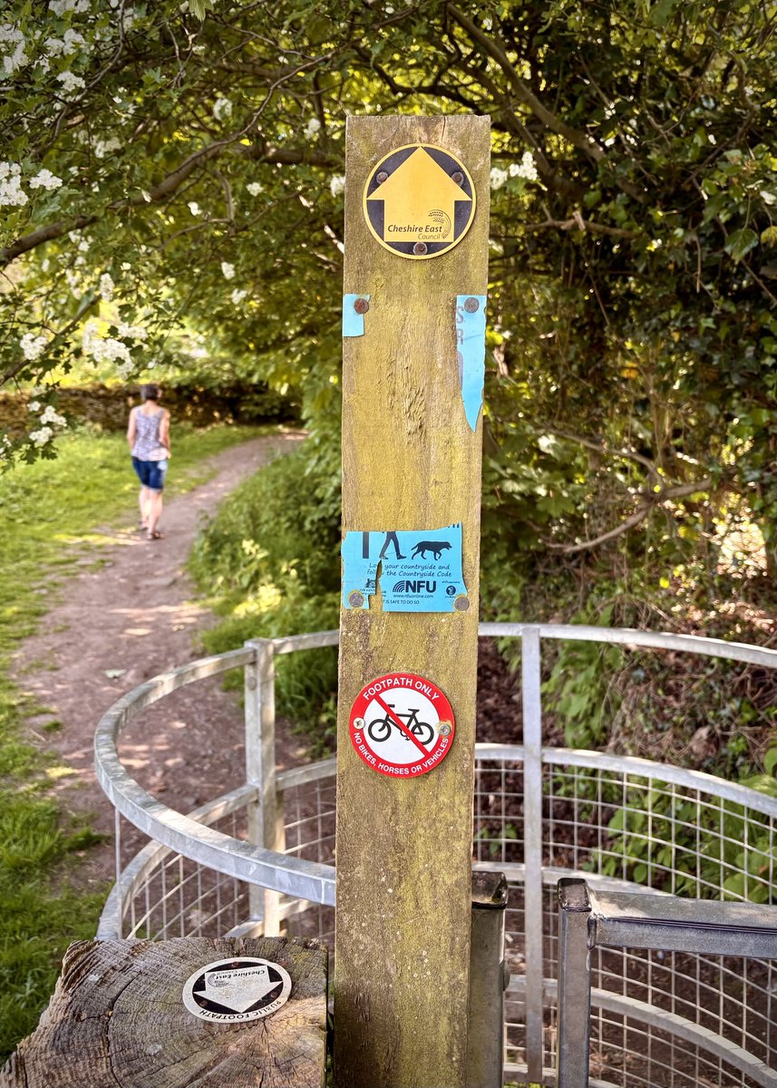 SCJmurphy's tweet photo. This way for #FingerpostFriday #Hurdsfield #Macclesfield #Cheshire #waymarker #photography https://t.co/qeTKEgTtxg