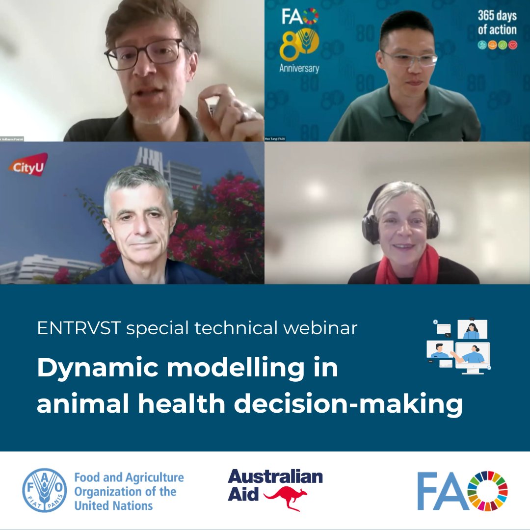 FAOAsiaPacific's tweet photo. Thank you for joining! ๐
@FAO, @CityUHongKong, @INRAE_Intl & @Epi_interactive explored how dynamic modelling & tools such as Epidemix support smarter animal health decisions.
Access the recording & handouts on ENTRVST, our virtual vet epi hub๐ https://t.co/hbBRoFm169
#ECTAD https://t.co/moHVKHTeVi