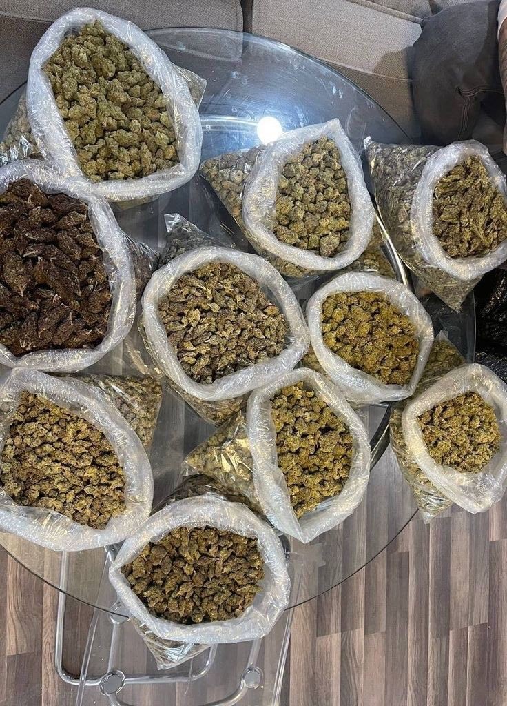 Kamoza 🇲🇼 🇿🇲 tweet media