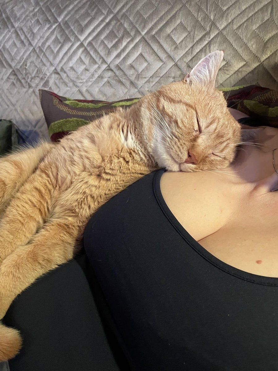 mia’ya gün aydı..🤭