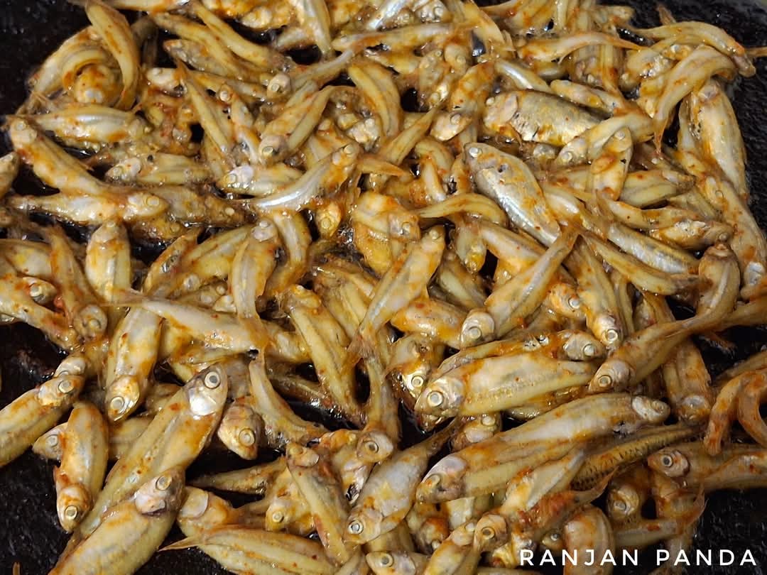 Every Jhuri comes from the paen (water), but there's only one Paen Jhuri (Water Fish)...