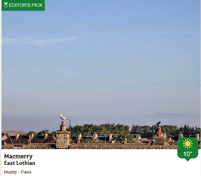 BBCScotWeather tweet picture