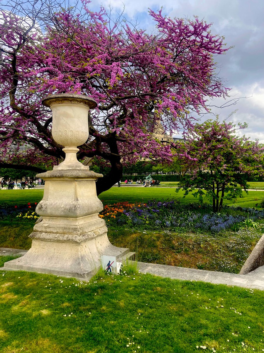 focusonparis's tweet photo. Floral Friday: a spring day in the #jardindestuileries. #floral #flowers #springtimeinparis https://t.co/1UJPPSYHGp