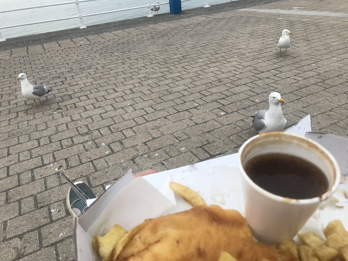 An audience at Aberystwyth