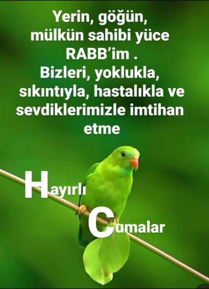 UYYAZAN's tweet photo. https://t.co/nV6XOPNz99