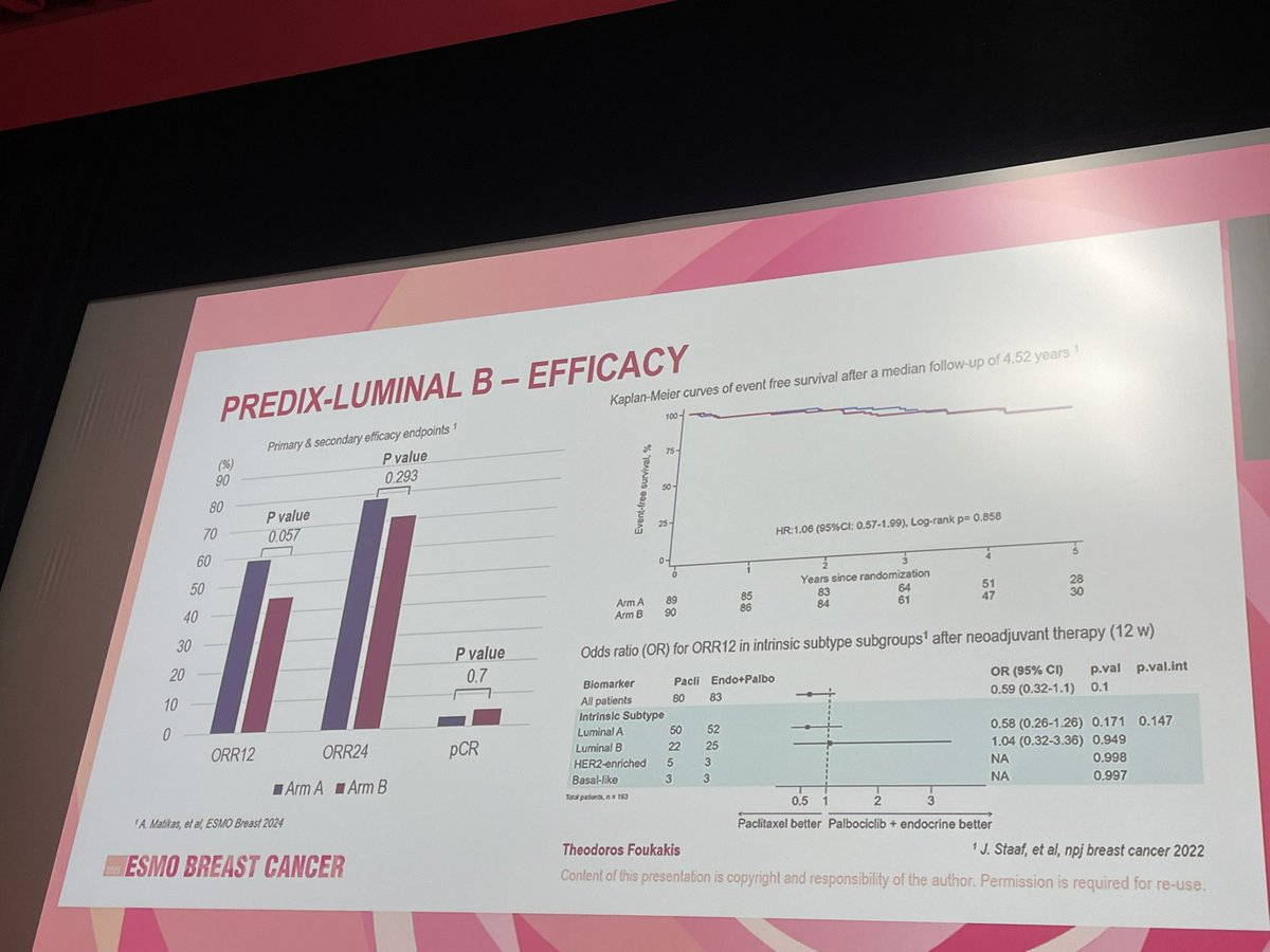 Elisa Agostinetto tweet media