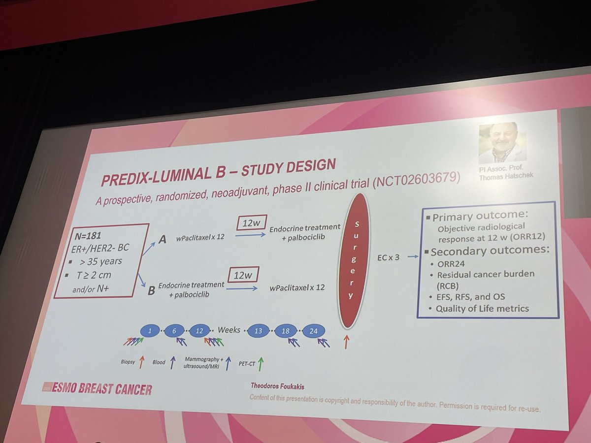 Elisa Agostinetto tweet media