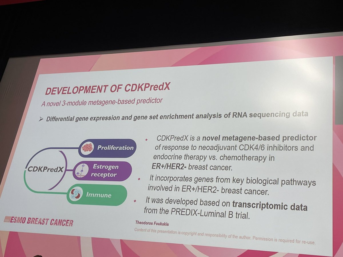 Elisa Agostinetto tweet media