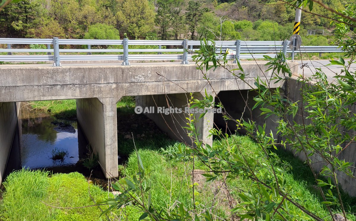 SONf3HnizKiA17L's tweet photo. Beneath the bridge, a quiet stream carries the season’s first secrets.
A blend of concrete and spring’s wild green hush.
#BridgeView #QuietNature #SpringStream #HiddenBeauty #CountrysidePhoto #SeoPhoto
Photography by Yeon-Gyeong Seo (Seo) | ArtMajeur https://t.co/vUBrQHxqiu https://t.co/j8p7MlVYp6