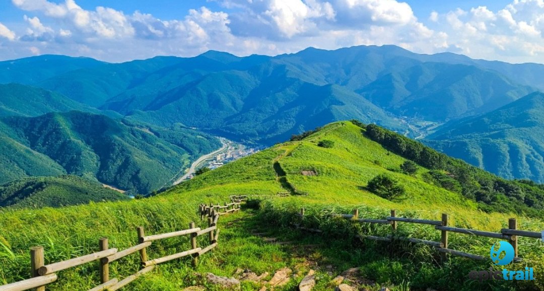 Epictrail_'s tweet photo. Núi Mindungsan (민둥산) - ngọn núi tuyệt đẹp ở Jeongseon, Hàn Quốc, nổi bật với sắc hoa rực rỡ vào mùa xuân và lá đỏ vào mùa thu. Một điểm đến lý tưởng cho những ai yêu thiên nhiên và đam mê leo núi! 🍁🌸⛰️ #korea #travel #epictrail https://t.co/d6h00eTX4D
