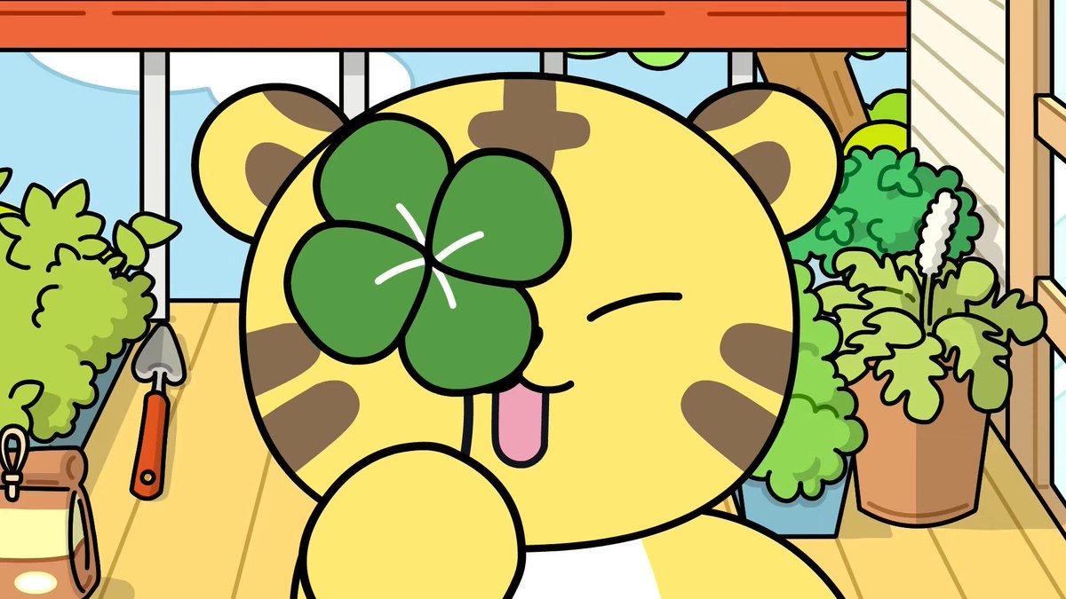 boosterhochi's tweet image. 🍀🍀🍀🍀✨✨✨✨