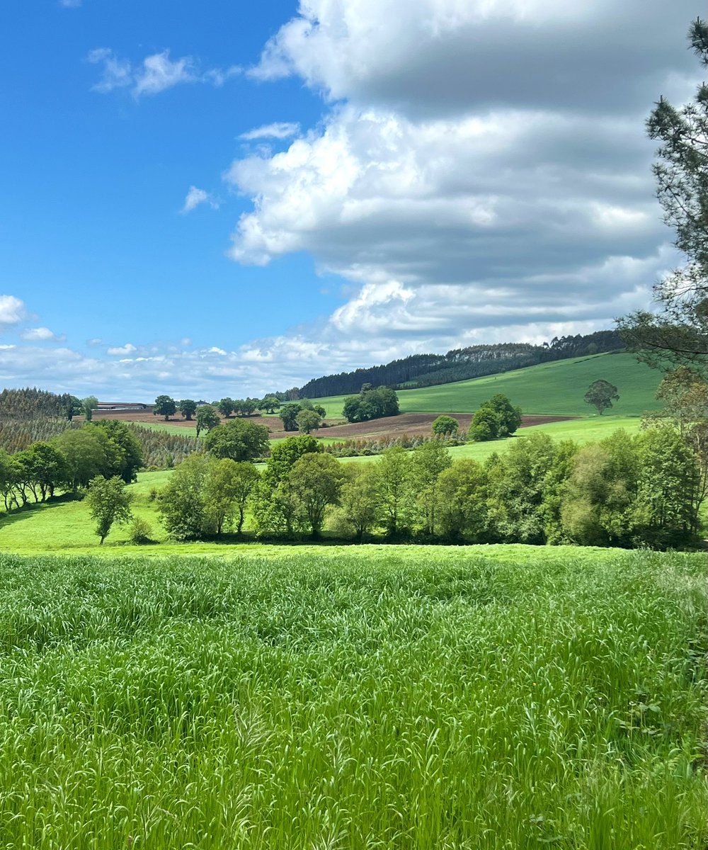 Suzi Day tweet media