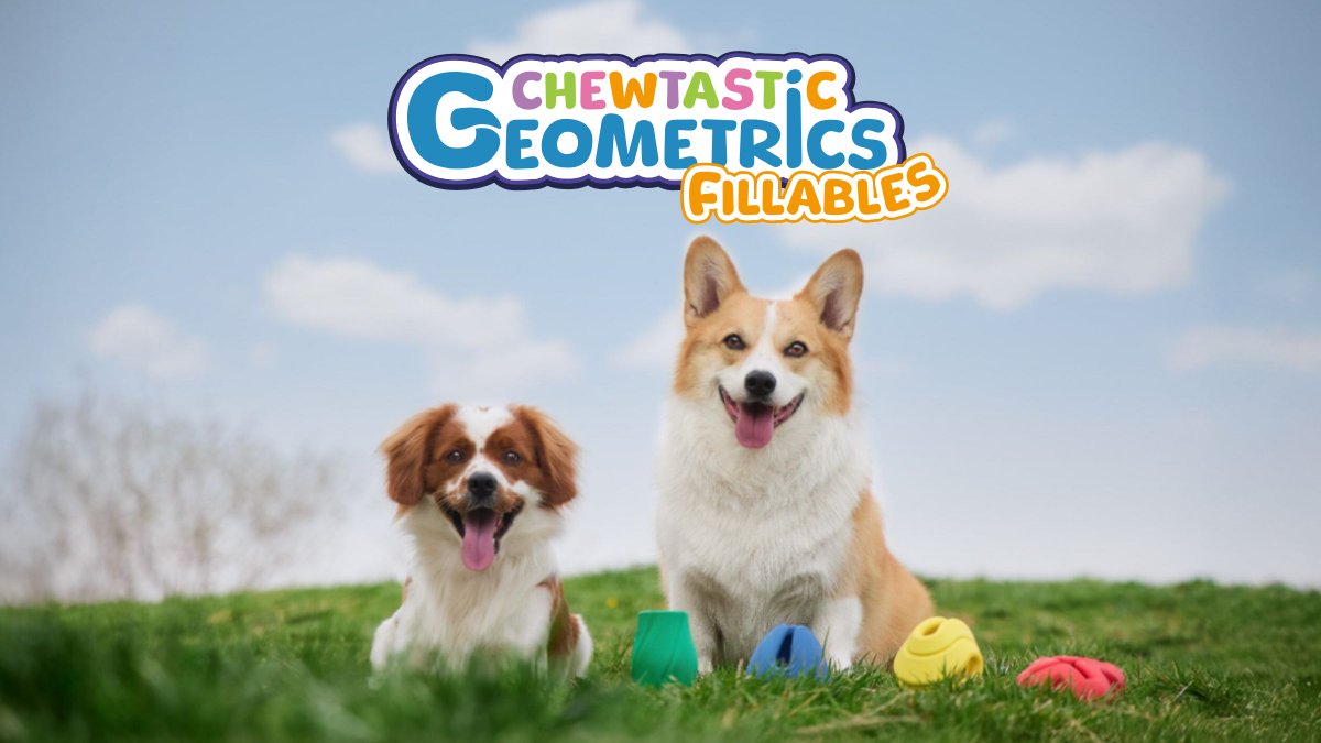 Exciting News for UK Retailers &amp; Pet Lovers!

We’re thrilled to announce that our brand new Chewtastic Geometrics Fillable range (lnkd.in/gSdtniRQ) will be available in the UK from late June! 

After months of development and feedback, we can’t wait to share this with you.