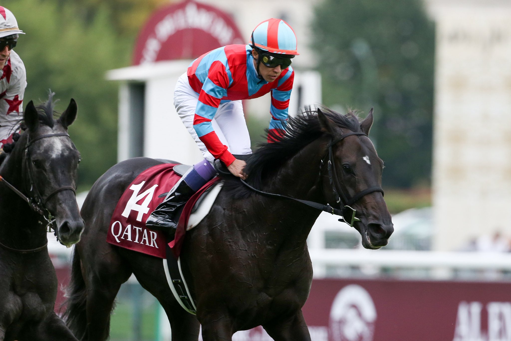 競馬 THE LINK 絶対連動 発見！永遠に続くJRA馬番リンク リンクスゼロ (Links Zero) | 競走馬データ - netkeiba
