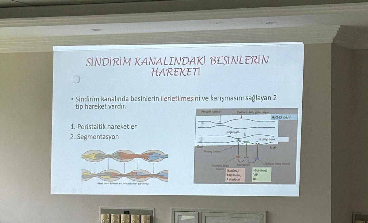 gamze6464's tweet photo. Bugün katıldığımız AFAD Eğitimi Konferansı, afet bilincimizi artırmak ve olası risklere karşı hazırlıklı olmak adına çok değerli bilgilerle doluydu. @GSB_Denizli @tekinkazak20 @vildanbasbug https://t.co/upc81Tp1cz