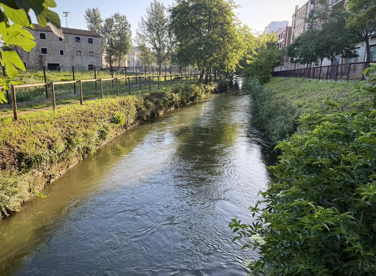 Bon dia.

La Sèquia Monar 🥰

#AiguaÉsVida