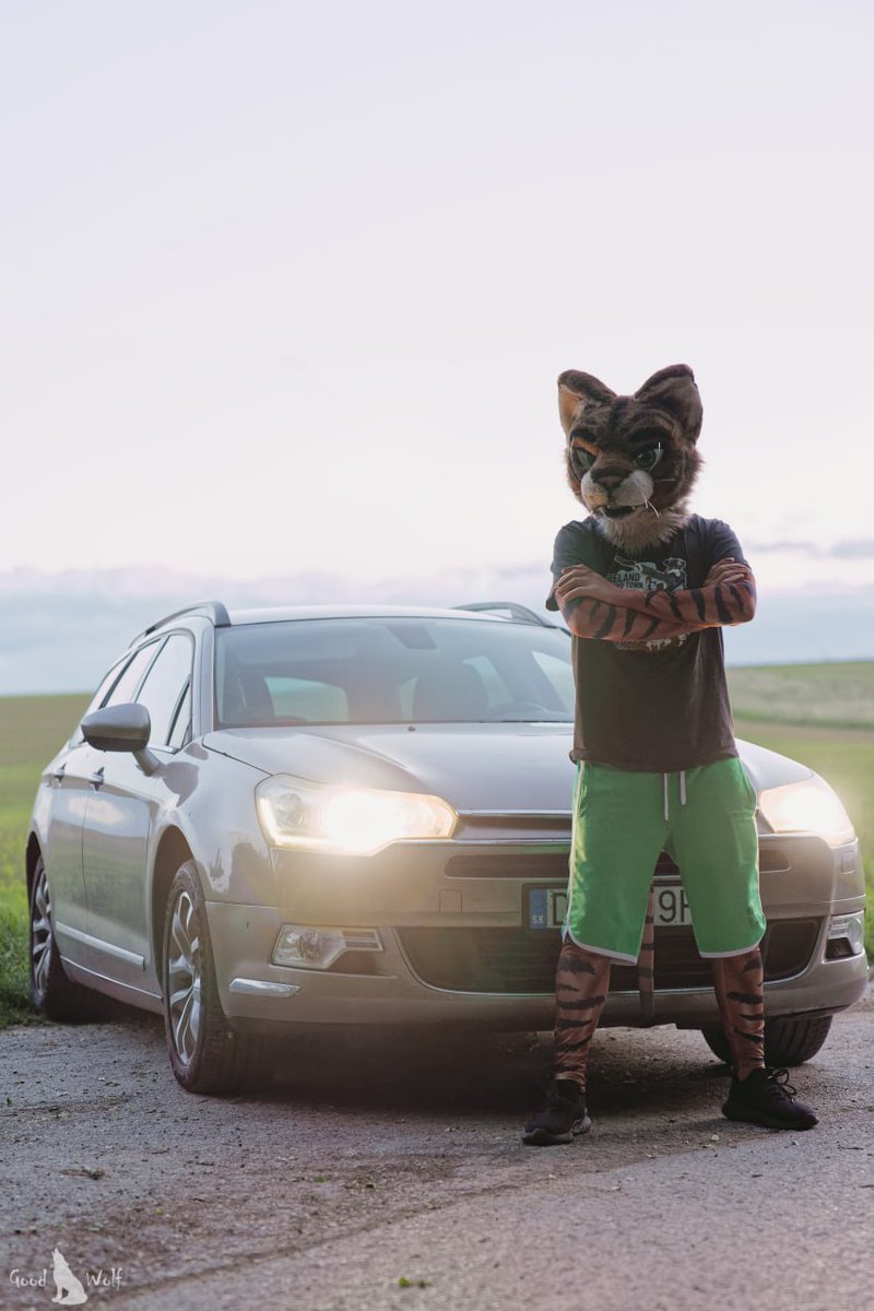 🚗

📷 Touby
🎨 Konomi

#furry #fursuit #car