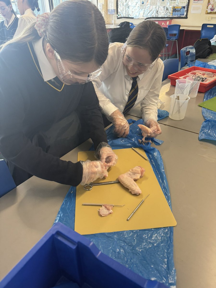 SRA Science tweet media