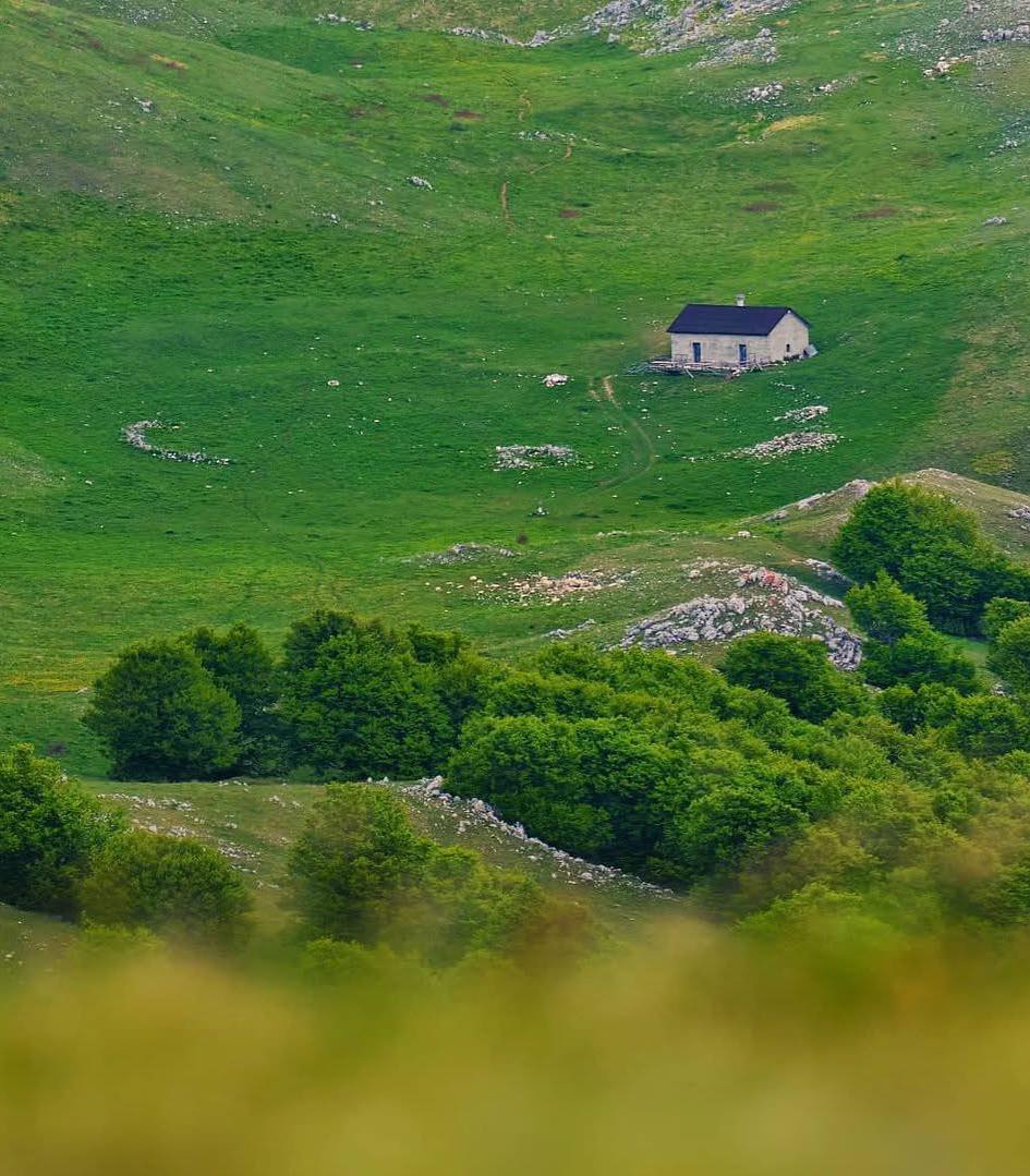 YourAbruzzo's tweet photo. I 2061 m del Monte #Morrone nel @parcomaiella: #vallate verdi, immense #faggete e #sentieri silenziosi che conservano un fascino selvaggio e incontaminato!
Scopri le montagne d'#Abruzzo in #estate: https://t.co/rh9YTjfLNt
📸 emanueledenovellis
#abruzzoturismo #maiellanationalpark https://t.co/QKM3or2Rs5