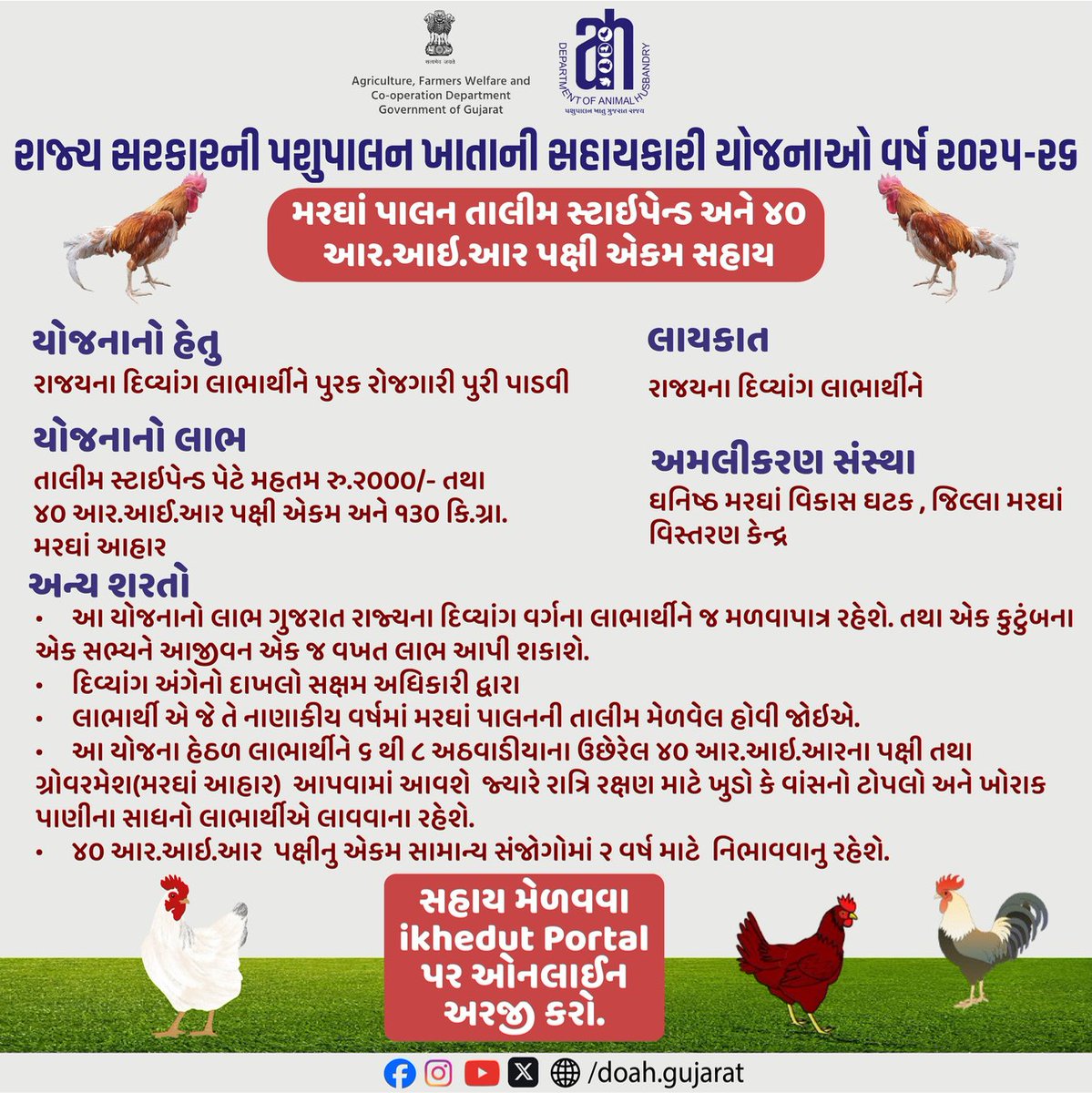 DoahGujarat's tweet photo. રાજ્ય સરકારની પશુપાલન ખાતાની સહાયકારી યોજનાઓ વર્ષ ૨૦૫-૨૬
મરઘાં પાલન તાલીમ સ્ટાઈપેન્ડ અને ૪૦ આર.આઈ.આર પક્ષી એકમ સહાય
સહાય મેળવવા ikhedut portal (https://t.co/kFZlkgcaVH) પર ઓનલાઈન અરજી કરો.
#PoultryFarming
#GovernmentScheme
#PoultryTraining
#RuralEmployment
#AnimalHusbandry https://t.co/MgPeDKQ0vd