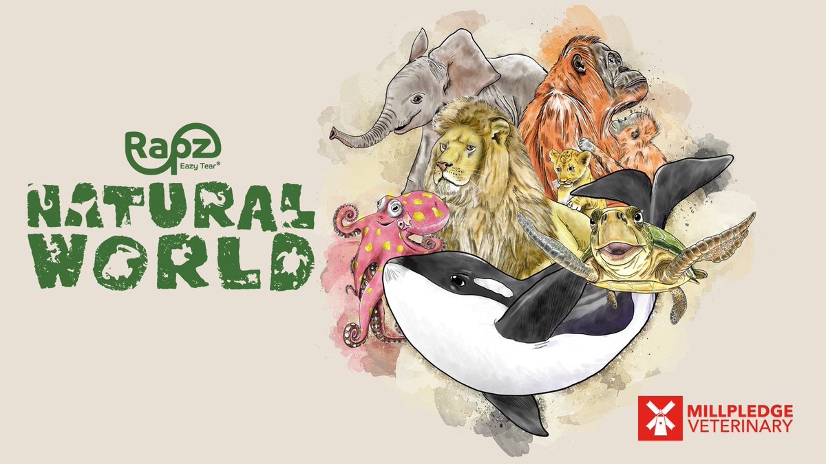 Millpledge Veterinary tweet media