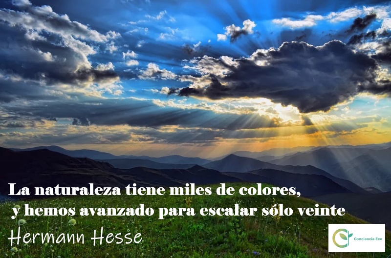 concienciaeco's tweet photo. Una #reflexión para cada día:
"La naturaleza tiene miles de colores, y hemos avanzado para escalar solo veinte"
Hermann Hesse
#medioambiente #naturaleza #colores #verdad #sabiduría #mente #pensamiento #filosofía #psicología #esperanza #positividad #frasescélebres #HermannHesse https://t.co/iteYeNIm5r