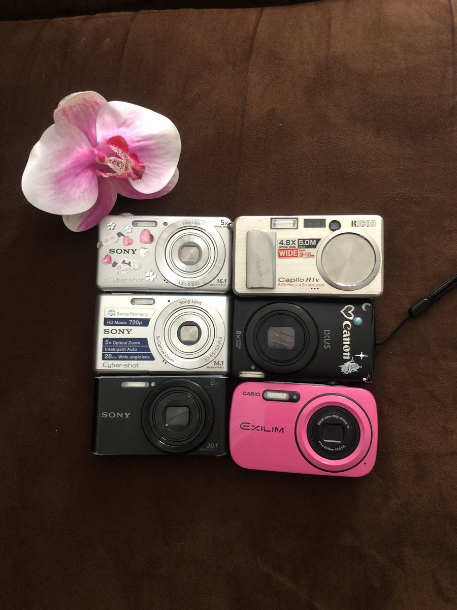 Yara wts digicam🌸📸 tweet media