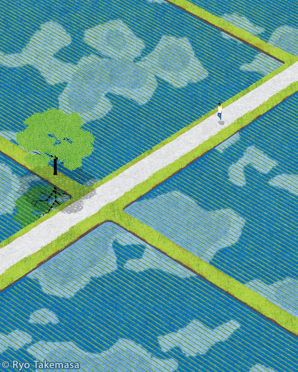 Rice Planting Season (2019)