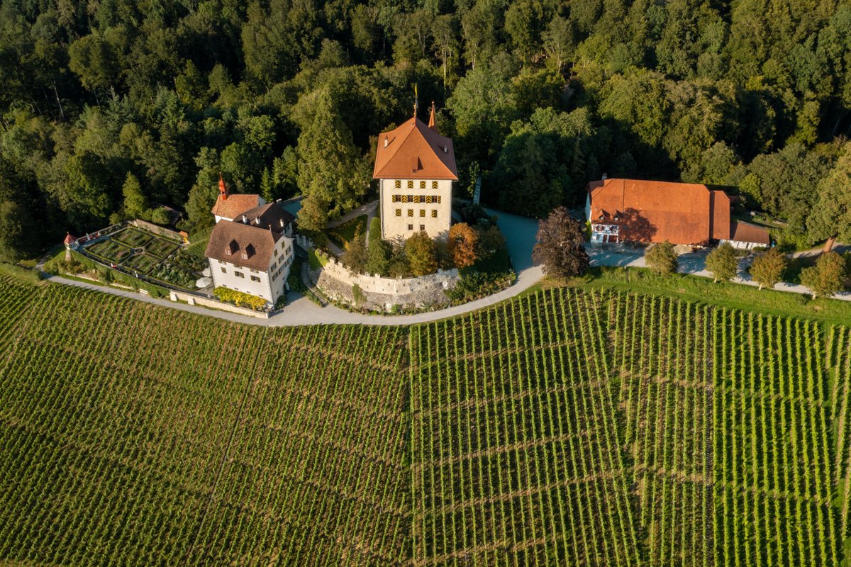 🏰SCHLÖSSER UND BURGEN IM SEETAL🏰
Im Seetal laden beeindruckende Bauwerke wie Schloss Lenzburg, Hallwyl, Wildegg und Heidegg aber auch die Burgruine Nünegg und die Johanniterkommende Hohenrain zu einer Reise in die Vergangenheit ein. 🕰️
Weitere Infos 👉bit.ly/schlösser-burg…