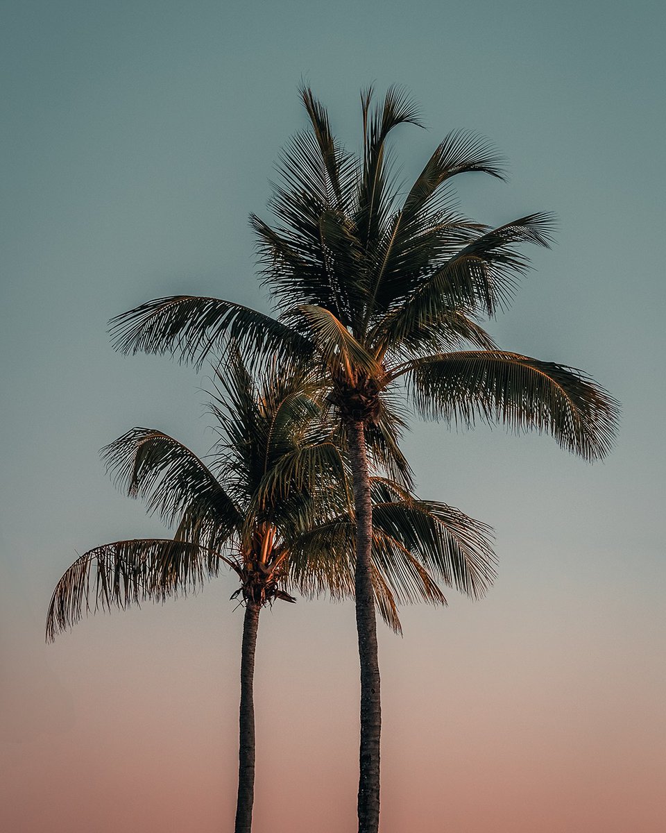mon_ilemaurice's tweet photo. Le soleil se lève lentement sur l’océan, peignant le ciel de nuances dorées, roses et orangées… Un moment suspendu, entre silence, lumière et magie. ✨

📸 @byvanrhyn

#ilemaurice #discovermauritius #mauritiusexplored #mauritiusnow #sunrise #instantsmagiques https://t.co/PhDeUVS1wC