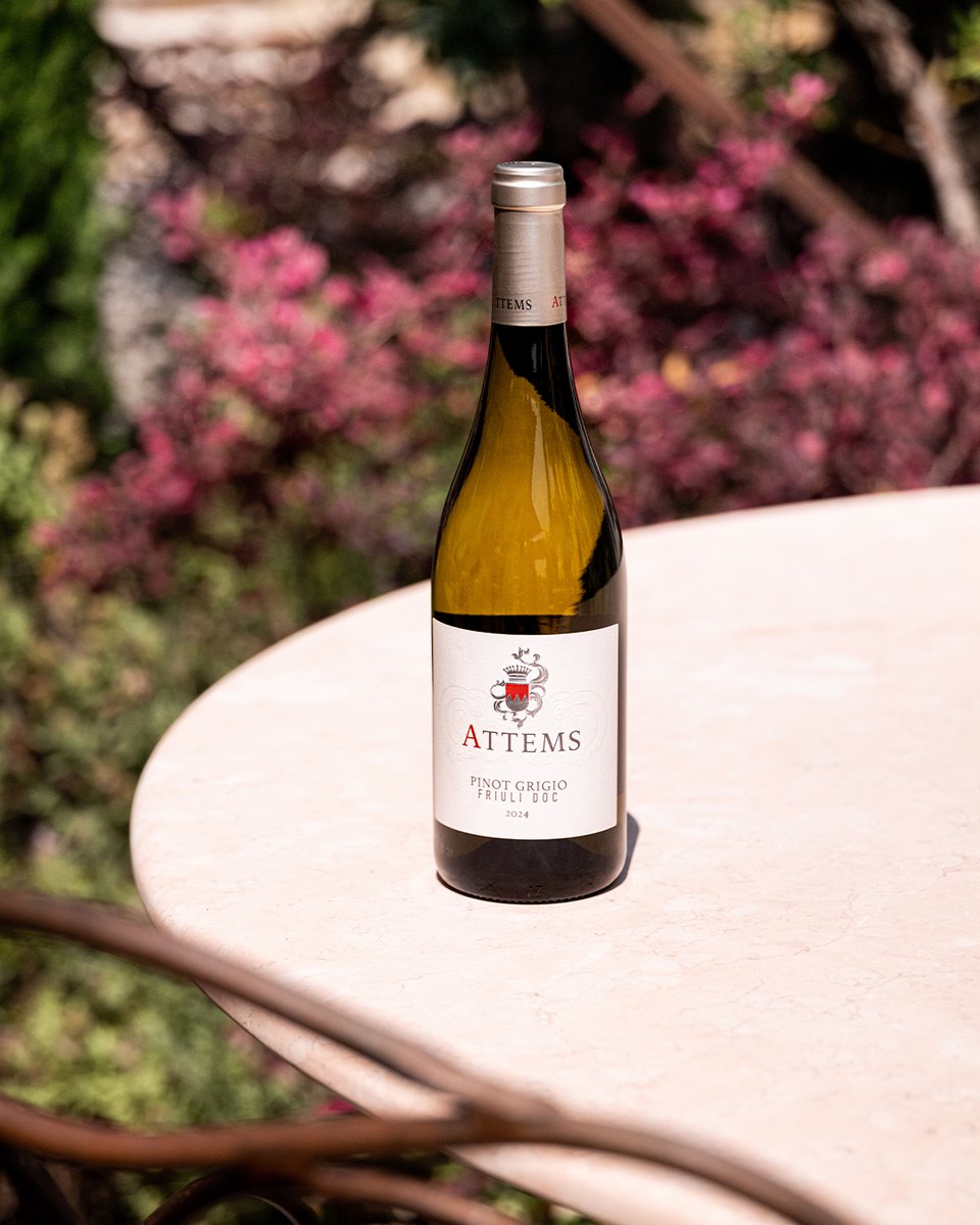 Attems_wines's tweet photo. Soft colors, a finely detailed bouquet and a remarkable complexity.
The delicacy and liveliness of Attems Pinot Grigio 2024 will amaze you.

#Attems #AttemsWines #Friuli #wine #winelovers #instawine #winetime #ilbuonodelfriuli https://t.co/WcOpSGWixE