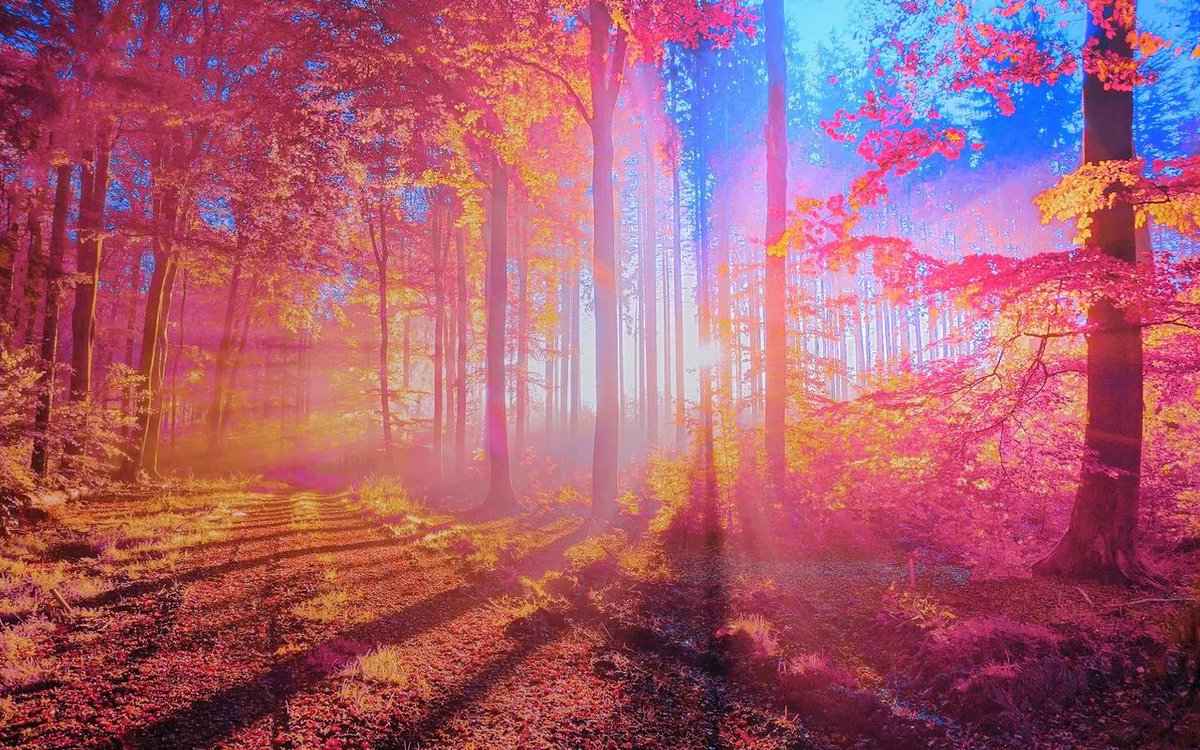 ShipleyDar43361's tweet image. . @soon_svm #SOONISTHEREDPILL Fogo#SOON carefully - designed consensus ensures network harmony. #Fogo #NetworkHarmony😆😉