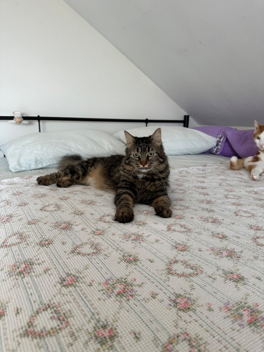 Zorunusa gitsin de çok iyyim uruspunar uzun samandır yokduk diye şey sammayın