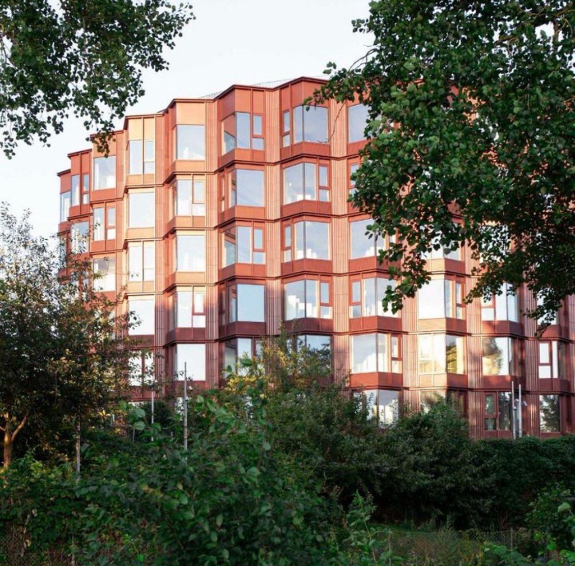 Philip Oldfield tweet media