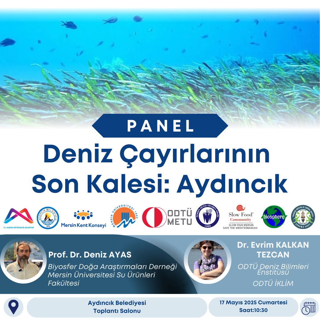 ODTÜ İKLİM | METU CLIMATE (@odtuiklim) on Twitter photo Deniz Çayırlarının Son Kalesi: Aydıncık Paneli’ne davetlisiniz!
Posidonia oceanica, karbon tutma kapasitesi sayesinde iklim değişikliğiyle mücadelede kritik bir tür.
Aydıncık ise bu türün Türkiye'nin Doğu Akdeniz kıyılarındaki son yaşam alanı.
<a href="/METU_IMS/">METU Institute of Marine Sciences</a> <a href="/METU_ODTU/">METU / ODTÜ</a> Deniz Çayırlarının Son Kalesi: Aydıncık Paneli’ne davetlisiniz!
Posidonia oceanica, karbon tutma kapasitesi sayesinde iklim değişikliğiyle mücadelede kritik bir tür.
Aydıncık ise bu türün Türkiye'nin Doğu Akdeniz kıyılarındaki son yaşam alanı.
<a href="/METU_IMS/">METU Institute of Marine Sciences</a> <a href="/METU_ODTU/">METU / ODTÜ</a>