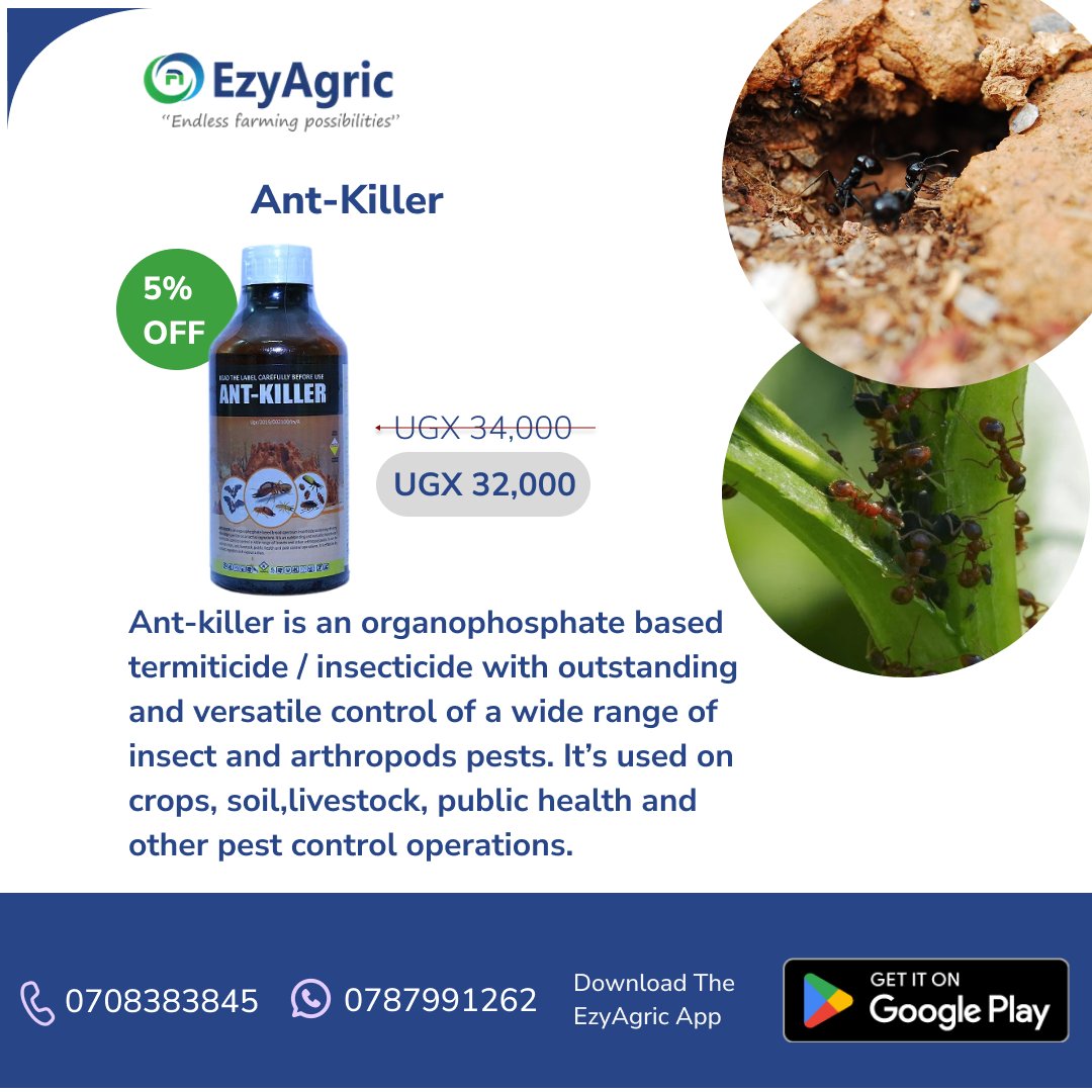 Pests are partying on your crops? Not on our watch! 🚫
Knock them out with:
- Dudu Acelamectin – 26K
- Roket – 32K
- Ant Killer – 32K
💥Proven protection. Discounted prices.
Let your crops breathe again! 🌾
📞 0708 383845 | 0787 991262
📲 Get it now on the EzyAgric App
#FarmSmart