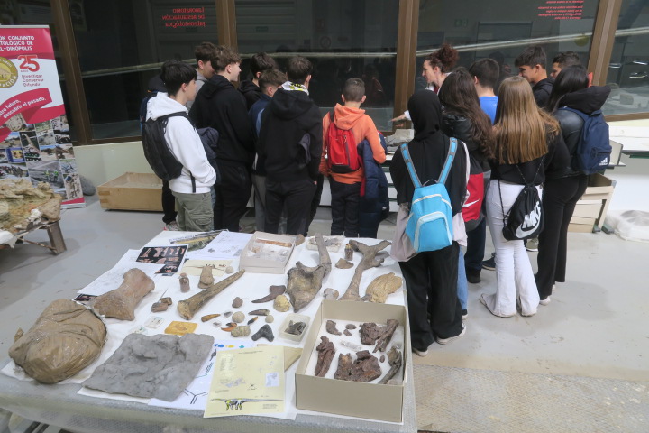 📢 La Fundación Dinópolis celebra 🥳 el Dia Internacional de los Museos con charlas y visitas educativas y el acceso libre a su último libro 📖 publicado 📢

👉 Más información en: bit.ly/DIMDinópolis