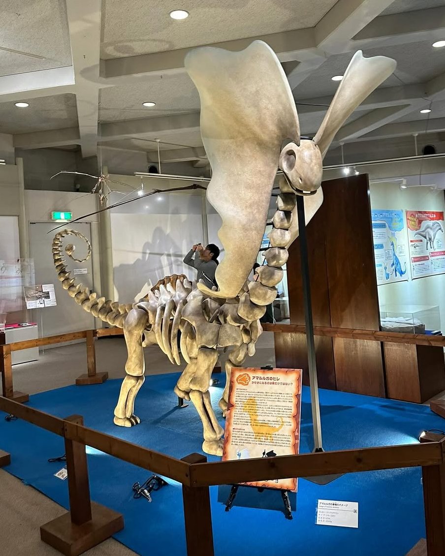 JVCom's tweet photo. Une exposition sur les fossiles des Pokémon va débarquer aux Etats-Unis !

Elle arrivera au Chicago's Field Museum en mai 2026 pour sa première fois en dehors du Japon.

(Via @ModernNotoriety) https://t.co/woBpbM0zC7