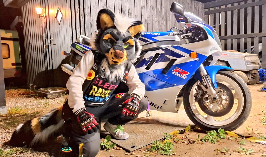 TylerTheJackal's tweet photo. Posing with my uncle's cool machine π #motorfur #fursuitfriday #suzuki https://t.co/CnW8V1YQ9O