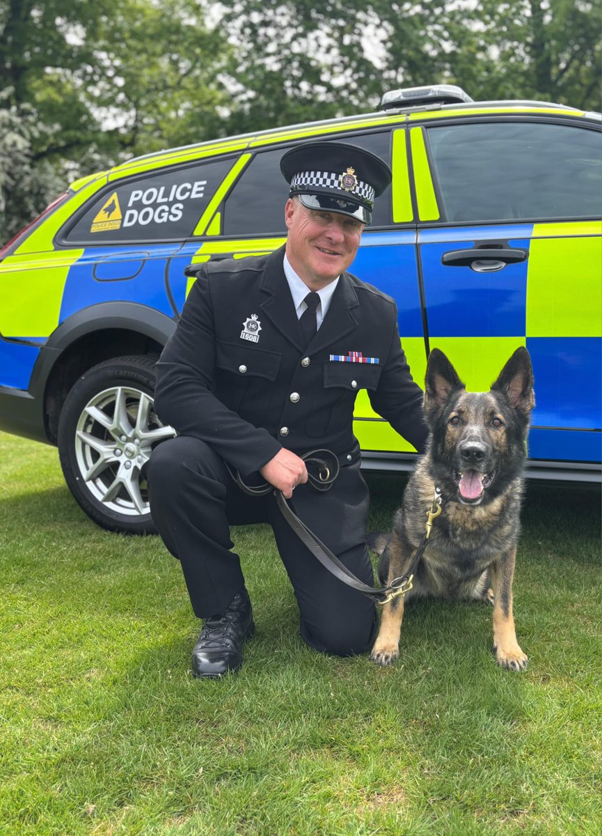 PoliceDogDorset's tweet photo. Last weekend PD Gerri and her handler presented @dorsetpolice at the @PoliceDogTrials 🐕
She showed off all her skills and loved every minute of it 🥳🥳🐾
#dorsetpolice #policedogs #GSD
#thisdogcan https://t.co/KcJpMxYGK8